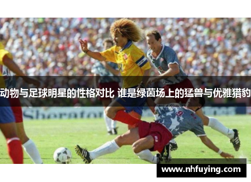 动物与足球明星的性格对比 谁是绿茵场上的猛兽与优雅猎豹